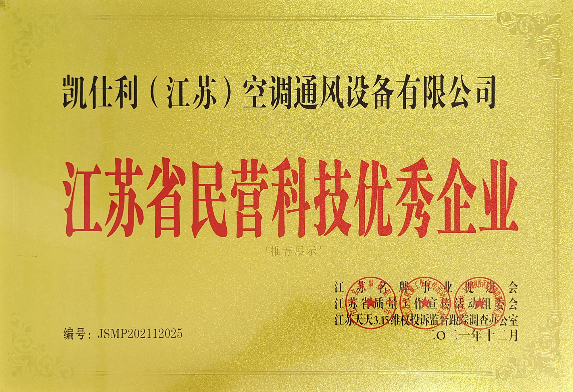 民營(yíng)科技優(yōu)秀企業(yè)
